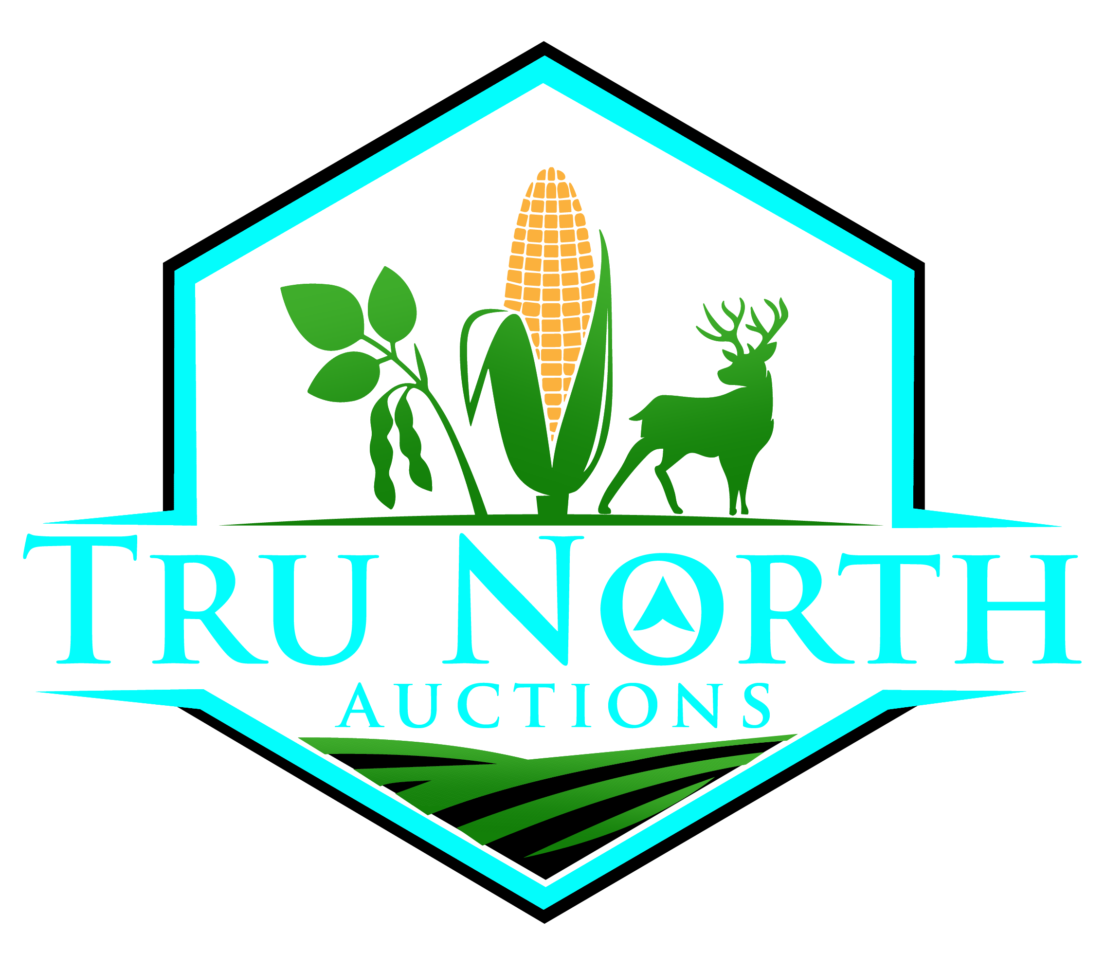 Tru North Auctions
