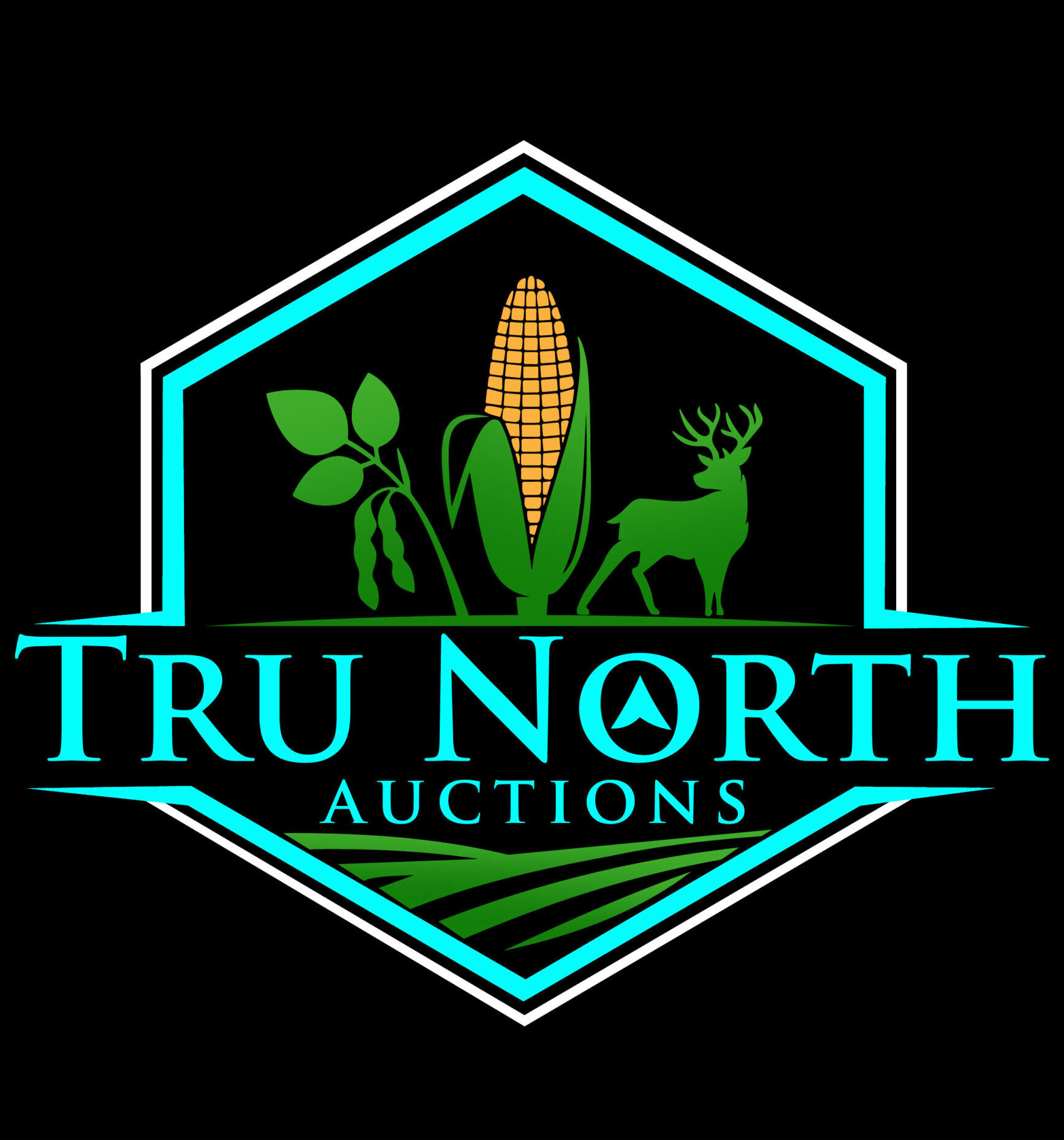 Tru North Auctions MN Land & Farm Auctions